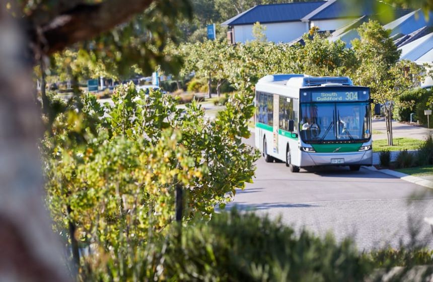 A thriving community